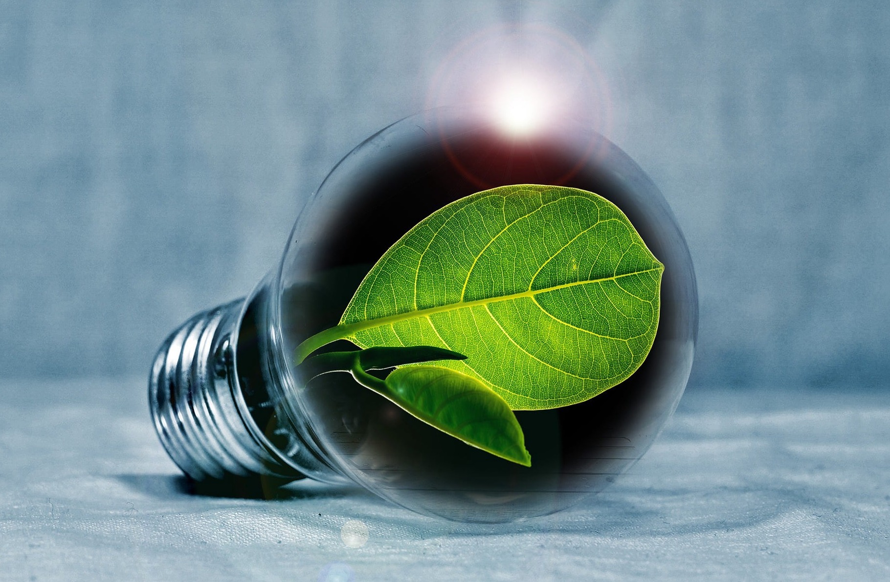 A.U.S. Umweltschutz ISO 14001 Glühbirne